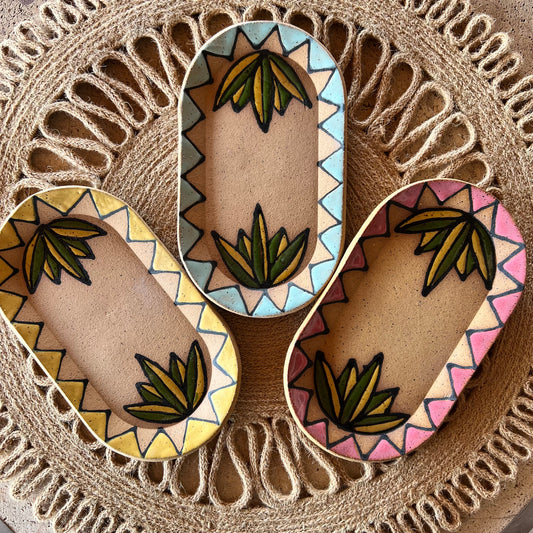 Agave Dish